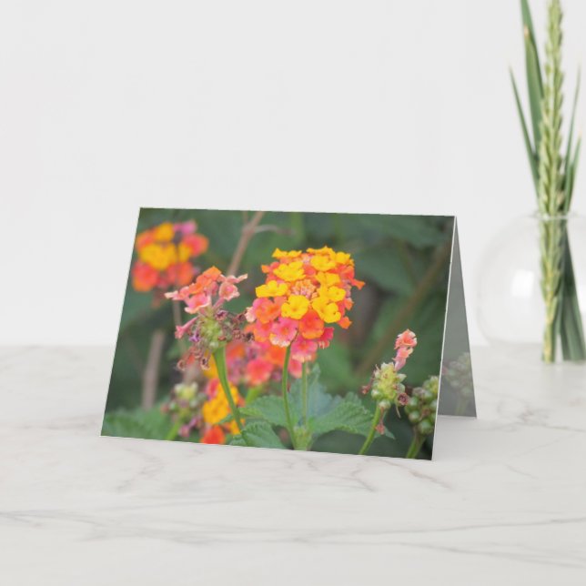 Lantana Greeting Card (Front)