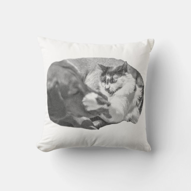 Lantern-Lit Watchers Throw Pillow (Front)