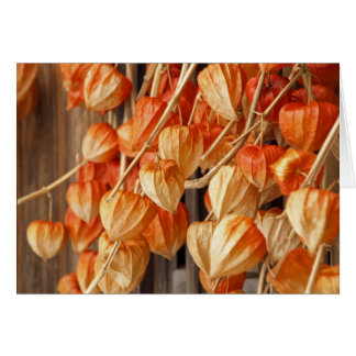Lanternes chinoises
