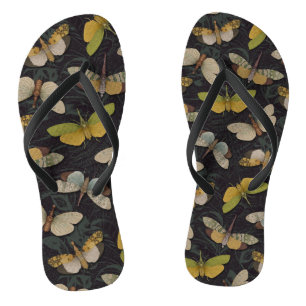Lanternflies - Pyrops Candelaria & Other Planthopp Flip Flops