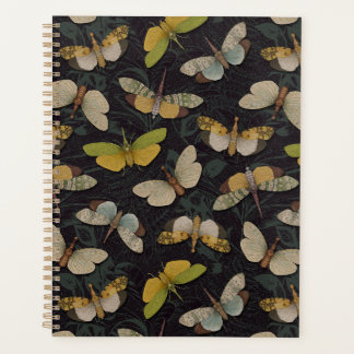 Lanternflies - Pyrops Candelaria & Other Planthopp Planner