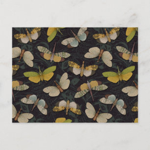 Lanternflies - Pyrops Candelaria & Other Planthopp Postcard