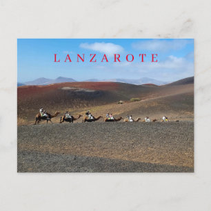 Lanzarote camels view postcard