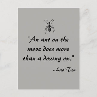 Lao Tzu Ant Citation Carte postale