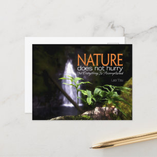 Lao Tzu Inspirational Quote "Nature" Postcard