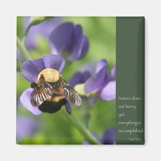 Lao Tzu Words of Wisdom Magnet (Front)