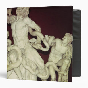 Laocoon, Hellenistic original, 1st century Binder