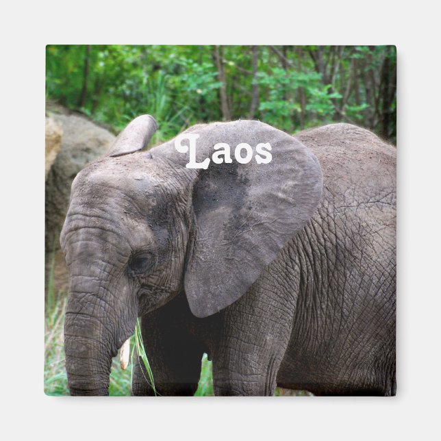 Laos Elephant Magnet (Front)