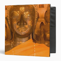 Laos, Vientiane, one of 6840 Buddha images in 2