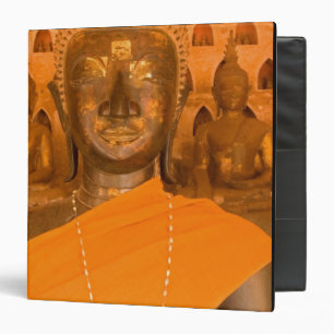 Laos, Vientiane, one of 6840 Buddha images in Binder