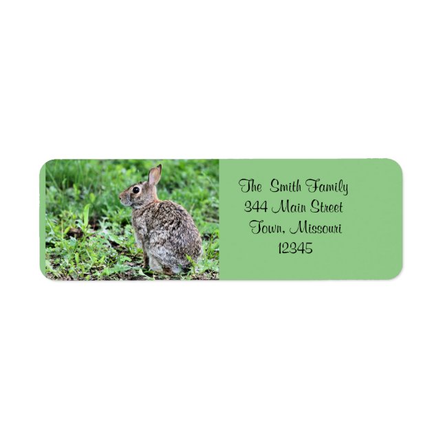 Lapin (Devant)