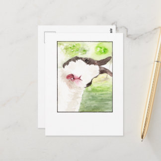Lapin Animalerie Selfie - Cartes Postales DNM