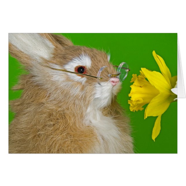 Lapin avec jonquille de printemps (Devant horizontal)