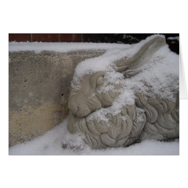 Lapin blanc (Devant Horizontal)