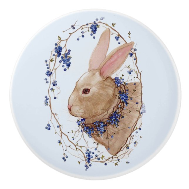 Lapin dans le bouton en céramique rond de (Devant)