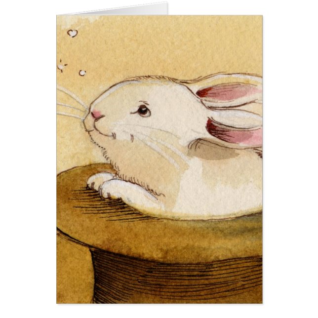 Lapin dans le casquette magique (Devant)