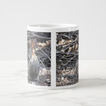 Lapin de désert - tasse enorme