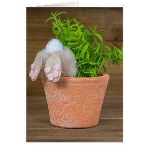 Lapin en pot de fleurs