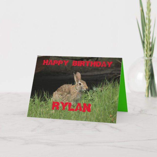 Lapin lapin abattu Closeudo avec l'herbe Carte de  (Devant)