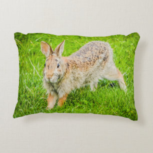Lapin Lapin Faune Vert Nature Accent Coussin
