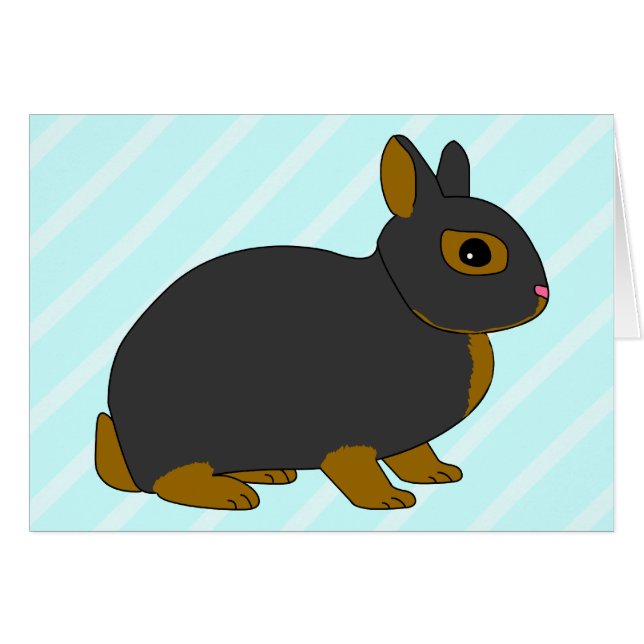 Lapin nain de Netherland (Devant horizontal)