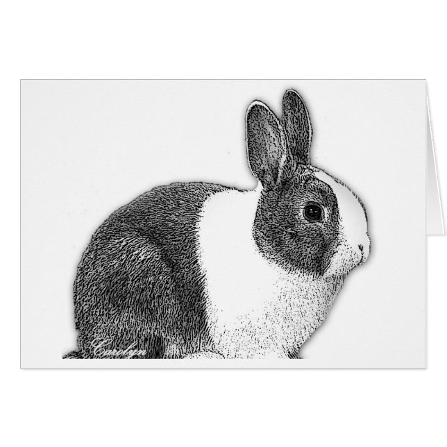 Lapin néerlandais (Devant Horizontal)