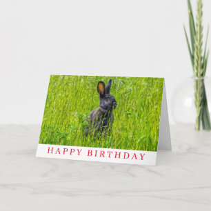 Lapin noir dans l'herbe carte d'anniversaire
