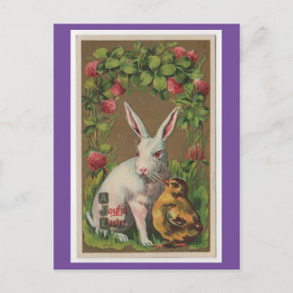Lapin vintage Avec Carte Postale Chick