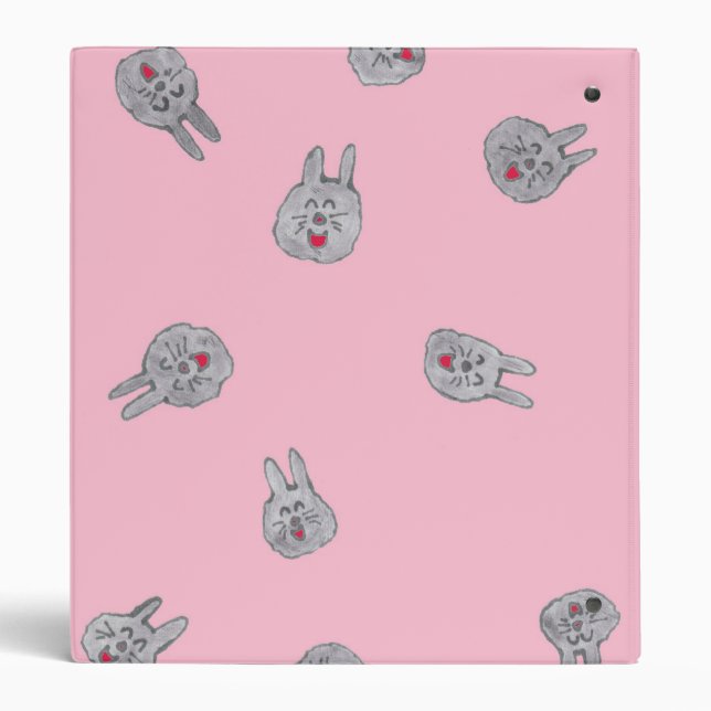 Lapins de la poussière sur le classeur rose (Dos)