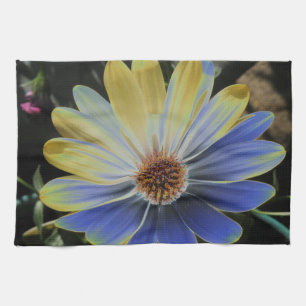 Lapis de marguerite africaine et serviette de cuis