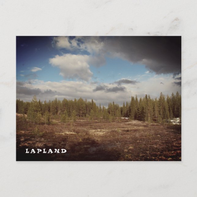 Lapland forest postcard (Front)