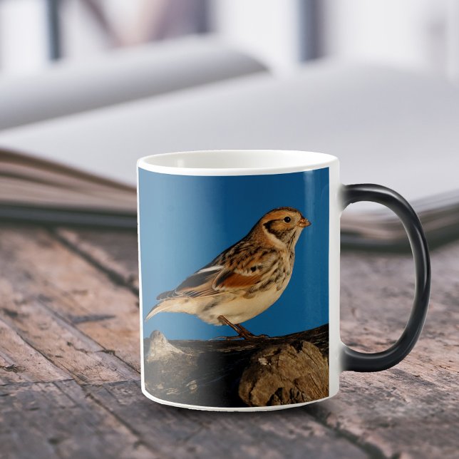 Lapland Longspur on a Sunlit Log Magic Mug (Lapland Longspur on Beach Driftwood 11 oz Coffee Mug Cover Photo.)
