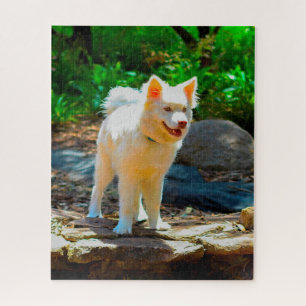 Lapphund Dog. Jigsaw Puzzle