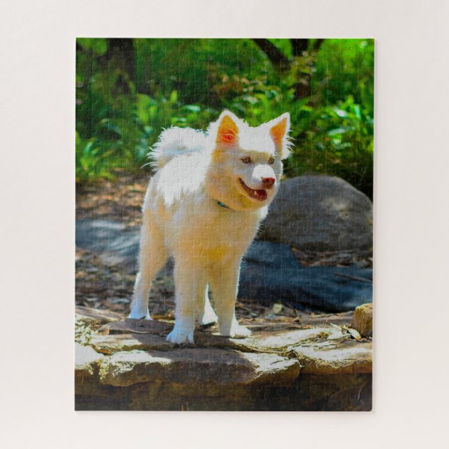 Lapphund Dog. Jigsaw Puzzle (Vertical)