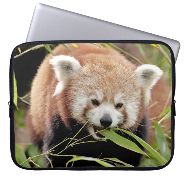 laptop sleeve Photo red panda , animals. (Front)