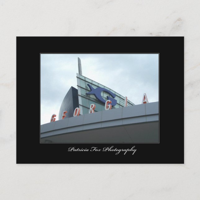 L'Aquarium de Géorgie - Carte postale (Devant)