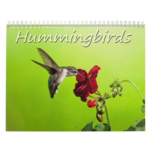 Lara Ellis Photography Hummingbirds Calendar (Cover)