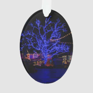 L'arbre bleu