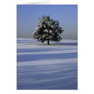 L'arbre dans la neige a couvert le paysage