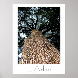 L'Arbre Poster
