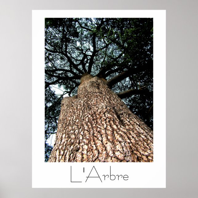 L'Arbre Poster (Front)