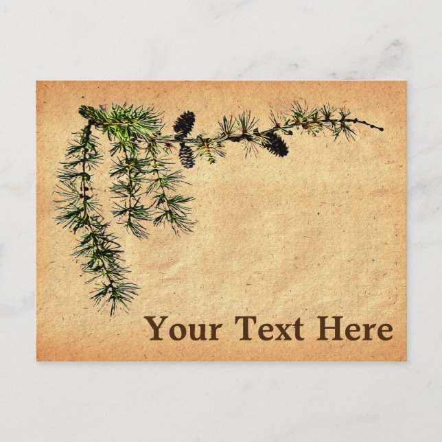 Larch Branch Postcard (Front)