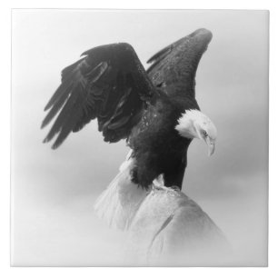 Large (6" X 6") Ceramic Photo Tile