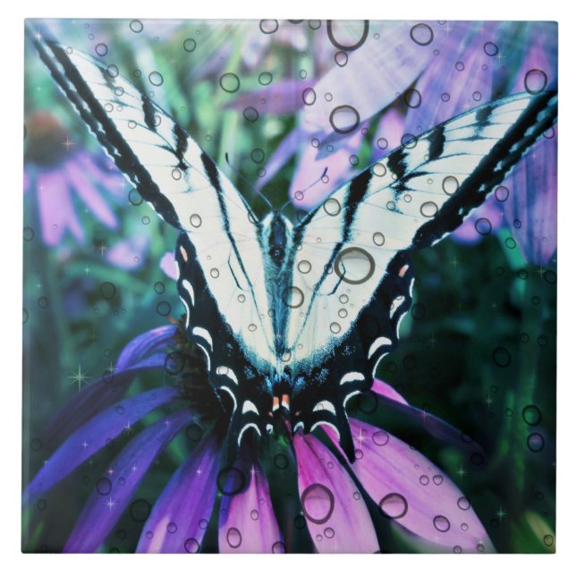 Large (6" X 6") Ceramic Photo Tile/Butterfly Tile (Front)