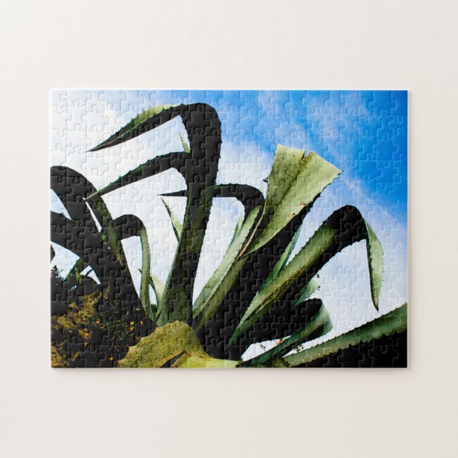 Large Aloe Plant with Blue Sky Jigsaw Puzzle (Horizontal)