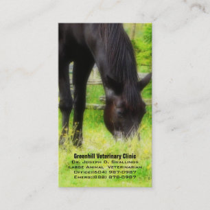 Large Animal (Horse) Veterinarian Business Clinic Card