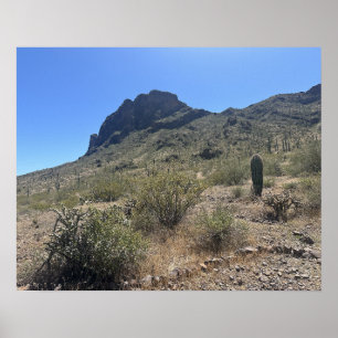 Large Arizona Desert Picacho Peak State Park Poster