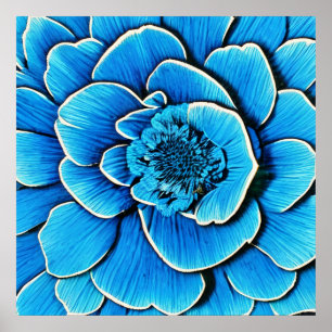 Large Blue Camellia Blossom Poster