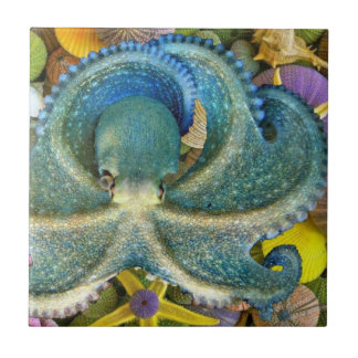 Large Blue Octopus Tile