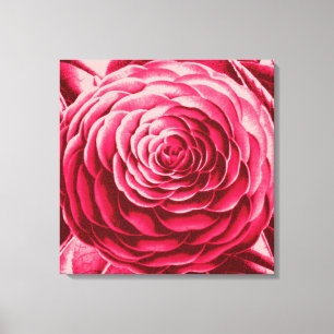 Large Camellia, Shades of Wine and Pink Canvas Print